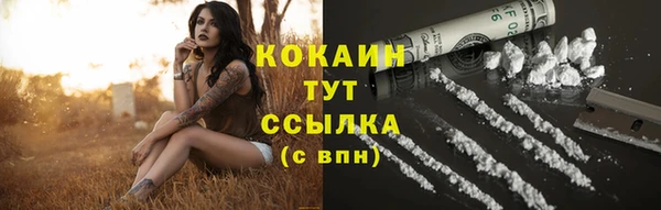 альфа пвп Бородино
