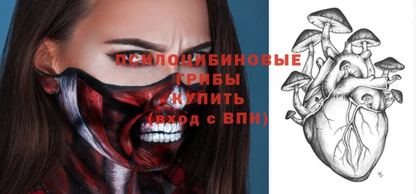 apvp Бронницы