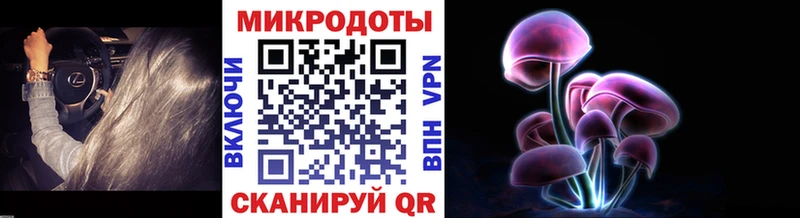 Галлюциногенные грибы Cubensis блэк спрут вход Саранск